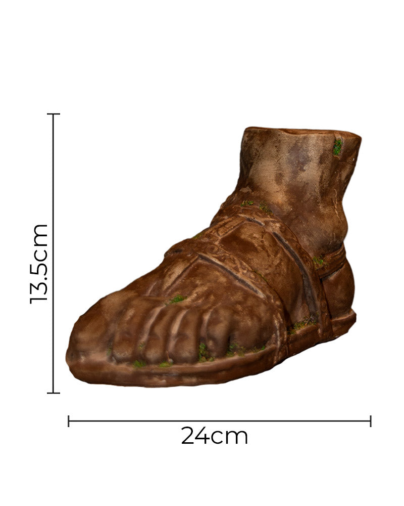 Male Foot