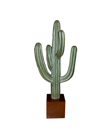 Cactus 5